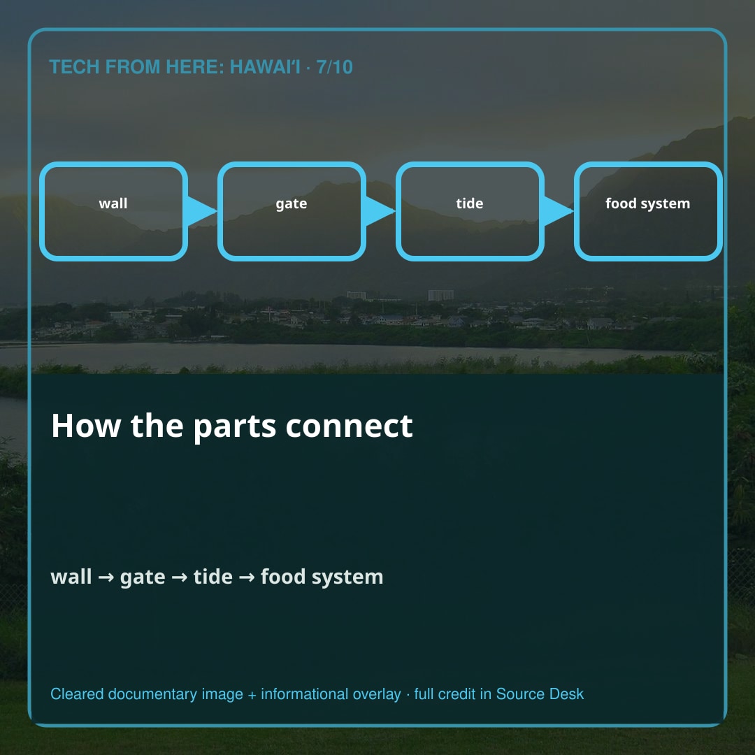 How the parts connect. No reliable record identifies one person who designed Heʻeia Fishpond. Its wall is therefore not only a structure. It is evidence of coordination: people selecting and moving material, reading a difficult coastal environment, organizing labor, maintaining a shared food system, and transferring knowledge.