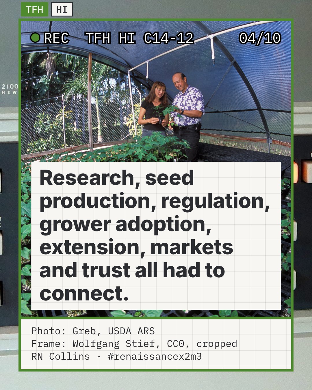 Inside a shaded greenhouse, a horticulturist and a research center director look over trays of young papaya plants. USDA identifies them as Aileen Yeh and Dennis Gonsalves with micropropagated Rainbow plants. It shows research and plant multiplication working together, two of the links the slide lists.