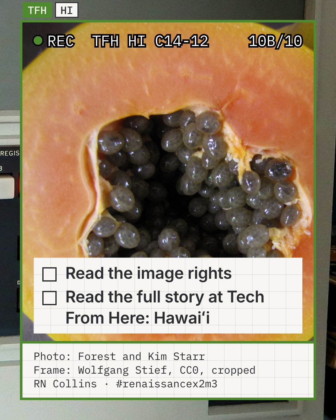 Illustrative photo: a papaya cut open to show its seed cavity packed with round, dark, jelly-coated seeds, photographed at Laulima Farm in Kīpahulu, Maui, in 2012 by Forest and Kim Starr. The close slide is about the people and institutions built around the seed. This is a Hawaiʻi papaya seed cavity, not Rainbow seed and not the 1998 seed distribution.