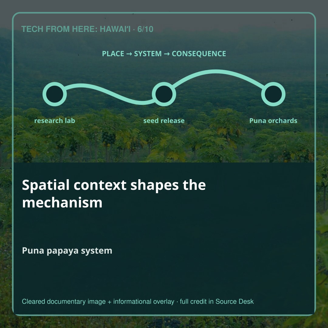 Place is part of the mechanism. Research on a transgenic papaya began in 1985.