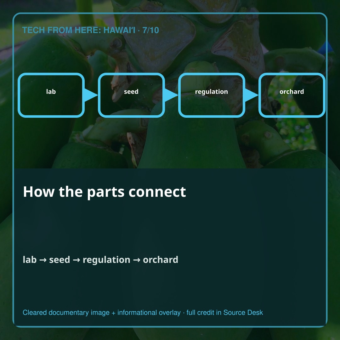 How the parts connect. The approach used pathogen-derived resistance. A resistant red-fleshed line became SunUp.