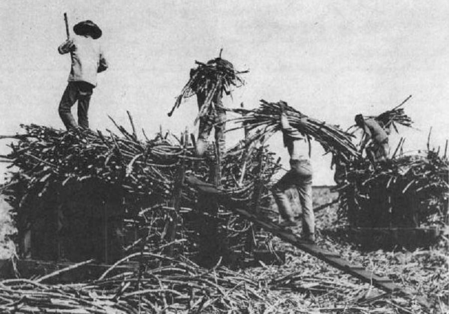 Historic photograph of plantation laborers in Hawaiʻi.