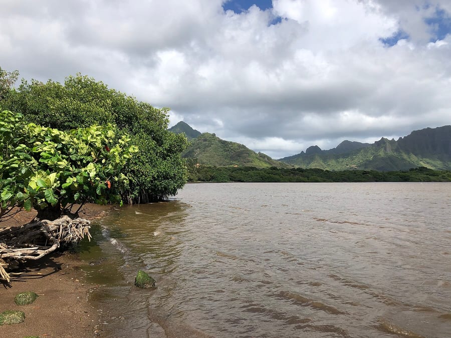 Photograph of the coastline at Waiāhole Beach Park.