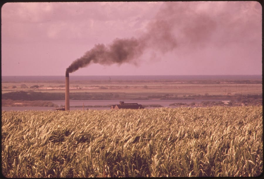 Photograph of a sugar mill with cane fields.