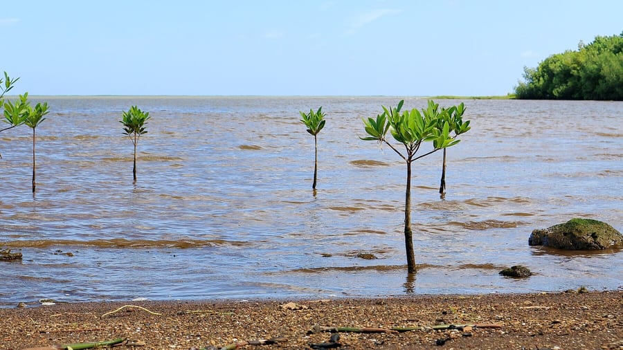 Photograph of Waiāhole Beach.
