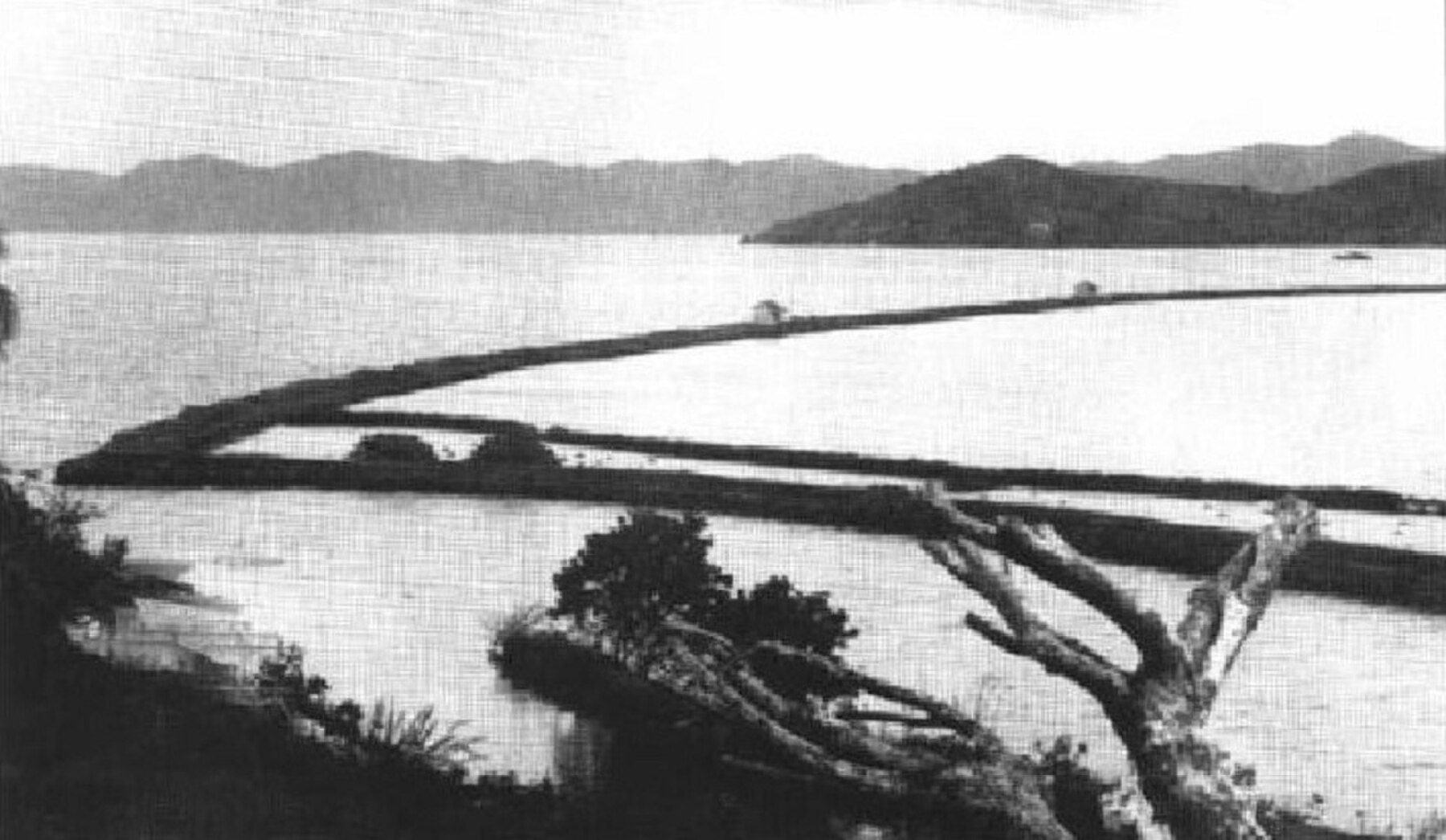 Historic black-and-white view of Heʻeia fishpond.