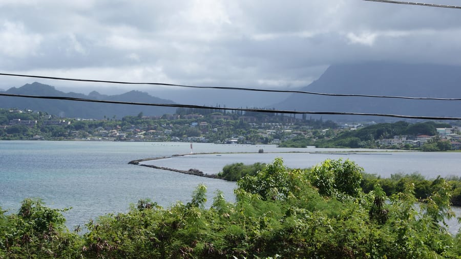 Photograph of the Heʻeia Fishpond interior water.