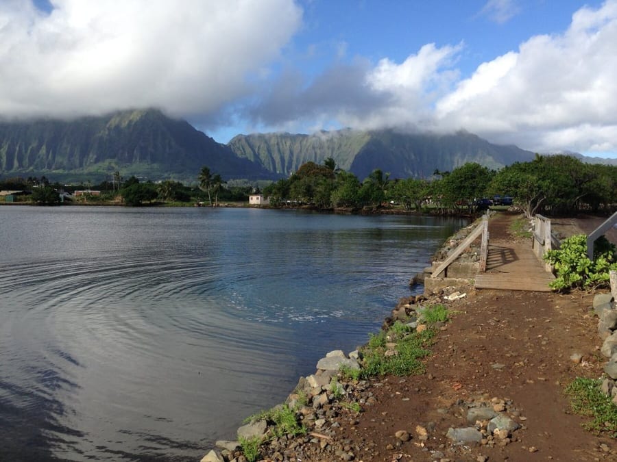 Photograph of Waikalua Loko fishpond wall and gate.