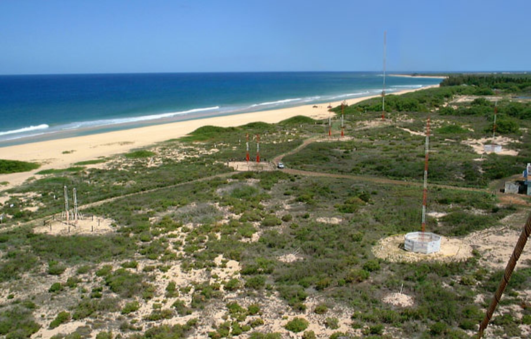 Rows of radio antennas at the WWVH station on Kauaʻi.